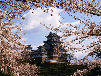 Himeji-Jo Castle and Cherry Blossom, Himeji, Japan