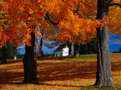 Autumn in Barre, USA