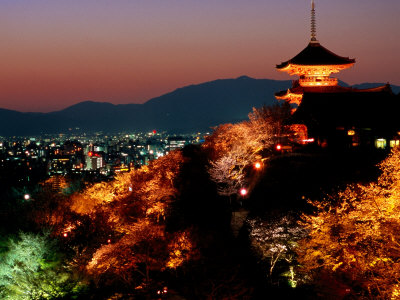 Main Hall, Sakura Trees and Pagoda Lit Up at Night at Kiyomizu-Dera Temple, Kyoto, Japan