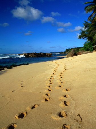 Footprints in the Sand on the North Shore, Oahu, Hawaii, USA