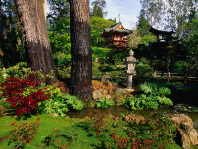 Japanese Tea Garden in Golden Gate Park, San Francisco, USA