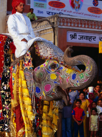 Man Riding Decorated Elephant in Street Parade of Annual Elephant Festival, Jaipur, India