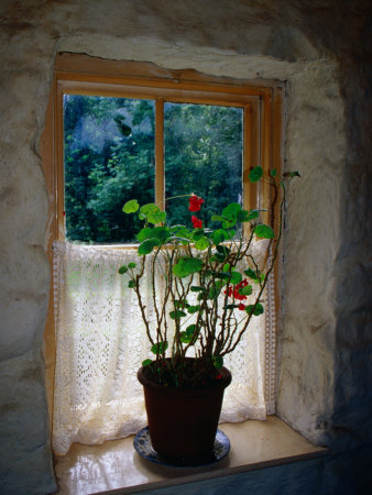 Cottage Window at Ulster Folk and Transport Museum, Down, Northern Ireland, United Kingdom