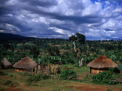 Buy Traditional Village Huts, Southern Nations, Nationalities and Peoples, Ethiopia at AllPosters.com