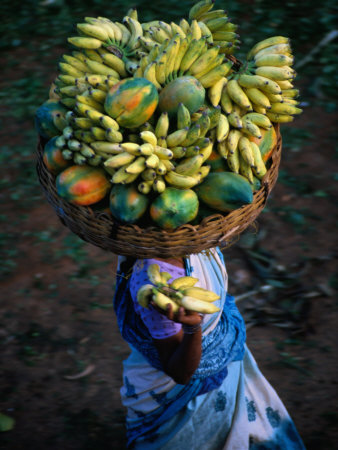 Local Woman Balancing Paw Paw and Bananas on Head at Market, Bangalore, Karnataka, India