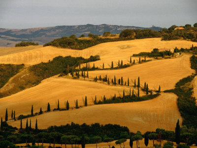 Golfen Tuscan Landscape Near La Foce, Tuscany, Italy