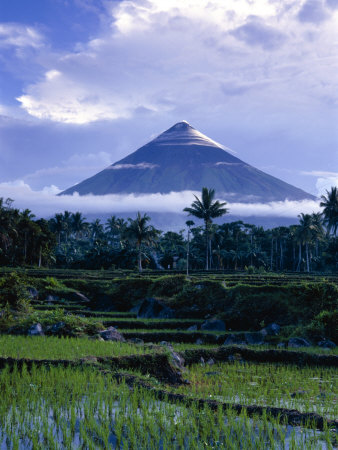 Mt. Mayon, One of the Most Dangerous Volcanoes in the World, Above Rice Paddys, Albay, Philippines