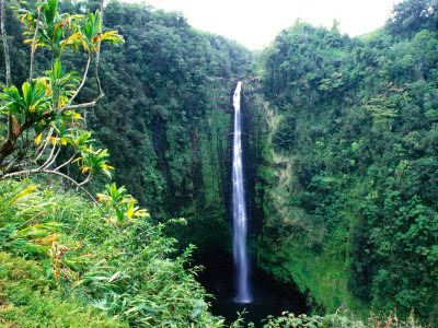 Waterfall in Akaka Falls State Park, United States of America