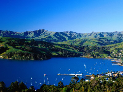 Akaroa Harbour, Banks Peninsula, Canterbury, New Zealand Poster