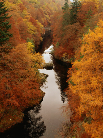 Autumn Foliage by Tummel River, Killiecrankie, United Kingdom