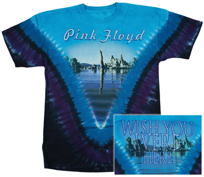 Pink Floyd - Diver