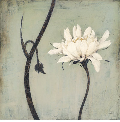 Ivory Blossom
