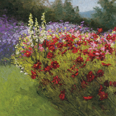 Cosmos Garden I