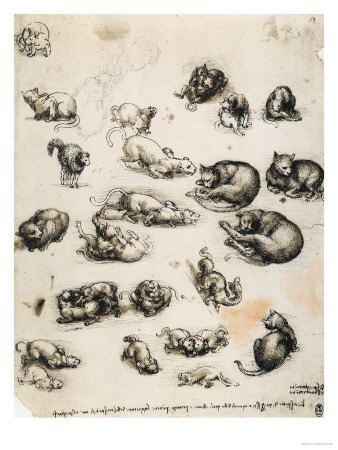 Cats, Lions and Dragons, Drawing, Royal Library, Windsor