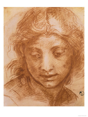 Head of a Young Woman, Drawing by Andrea Del Sarto, Uffizi Gallery, Florence