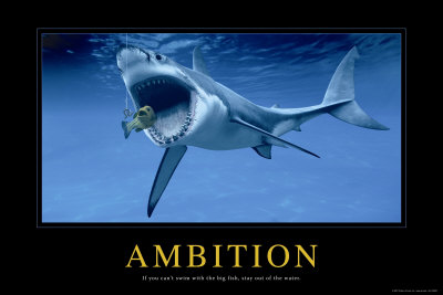 Ambition