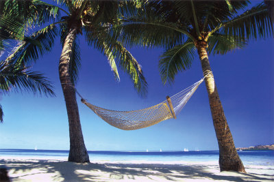 Paradise In The Tropics Posters
