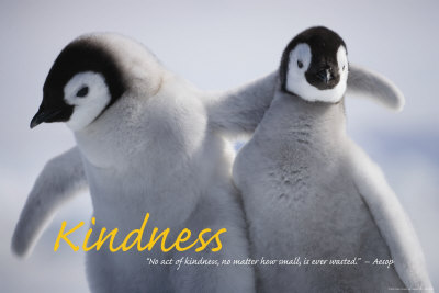 Kindness