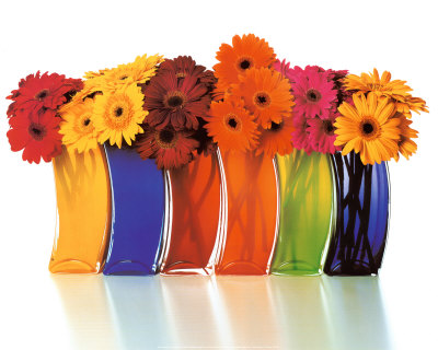 Rainbow Vases Posters