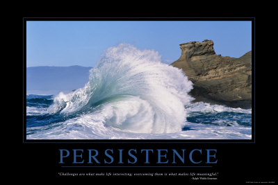 Buy Persistence at AllPosters.com