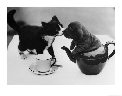 Tea Party