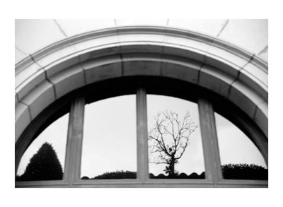 Buy Biltmore at AllPosters.com