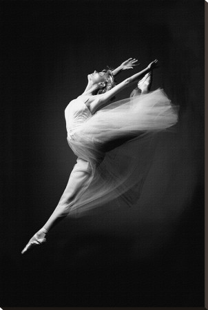 Grace in Motion