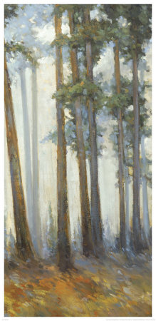 Silver Trees II
