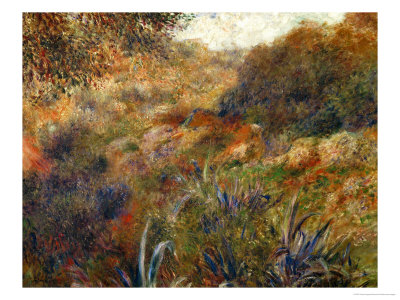 Buy Algerian Landscape, the Gorge of the Femme Sauvage, 1881 at AllPosters.com