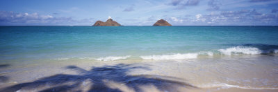 Shadow of a Tree on the Beach, Lanikai Beach, Oahu, Hawaii, USA