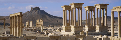 Colonnades on an Arid Landscape, Palmyra, Syria