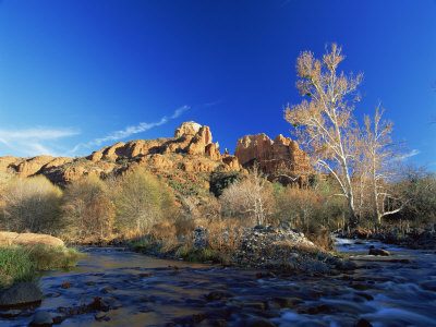 Oak Creek Running Before Cathedral Rocks, Red Rock Crossing, Sedona, Arizona, USA