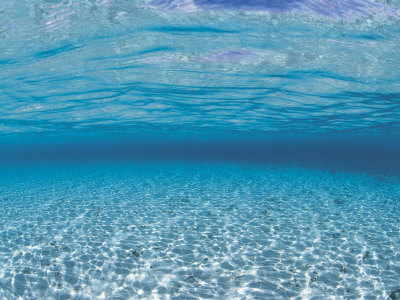 Sandy Seabed Underwater View, Indo-Pacific