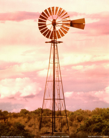 Rural Windmill