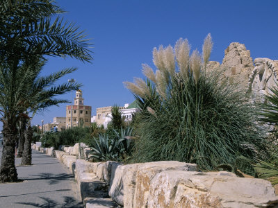 The Medina, Yasmine Hammamet, Tunisia, North Africa, Africa