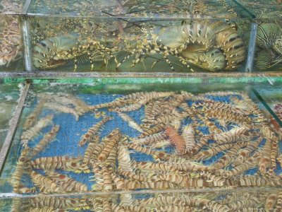 Fish Restaurant, Sai Kung, New Territories, Hong Kong, China