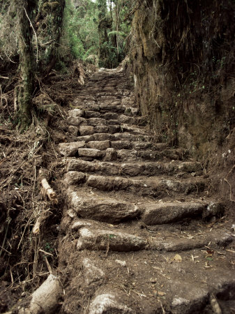 Steps on the Inca Trail, Peru, South America