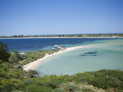 Protected Bird Sanctuary, Penguin Island, Western Australia, Australia