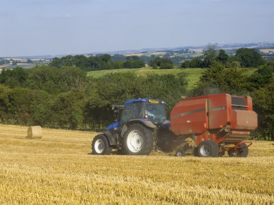 Tractor Collecting Hay Bales at Harvest Time, the Coltswolds, England