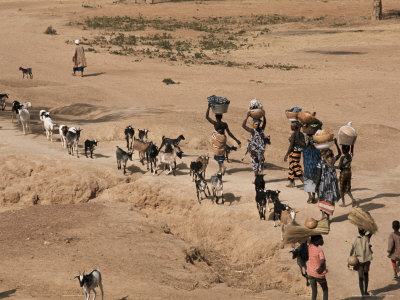 Buy Women on Their Way to Washplace in the River Niger, Mali, Africa at AllPosters.com