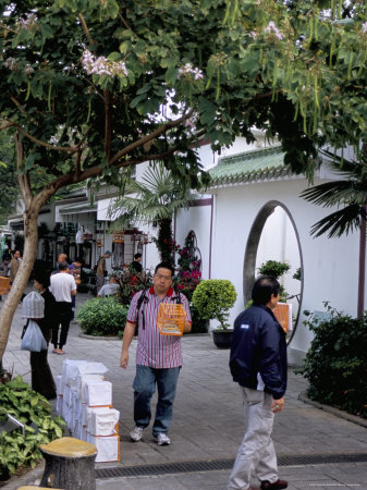 Yuen Po Street Bird Garden, Mong Kok, Kowloon, Hong Kong, China