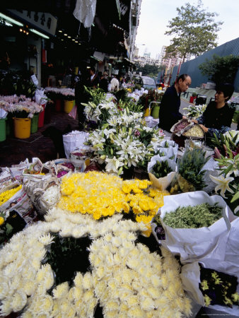 Flower Market, Mong Kok, Kowloon, Hong Kong, China