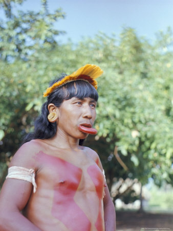 Suya Indian Man with Lip Plate, Xingu, Brazil, South America Posters