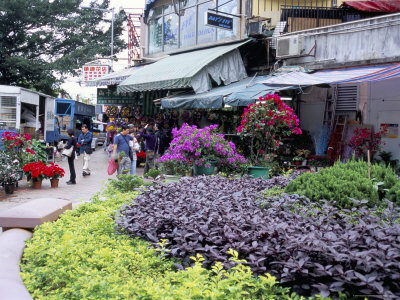 Flower Market, Mong Kok, Kowloon, Hong Kong, China