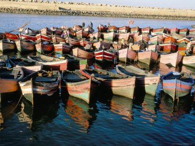 Fishing Harbour, El Jadida, Atlantic Coast, Morocco, North Africa, Africa