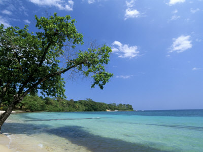 Buy San San Beach, Port Antonio, Jamaica, West Indies, Central America at AllPosters.com