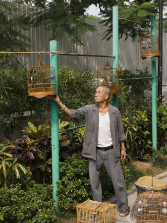 Bird Garden Market, Mong Kok District, Kowloon, Hong Kong, China