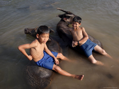 Two Boys Bathe with Their Water Buffalo in the Mekong River, Eastern Cambodia, Indochina