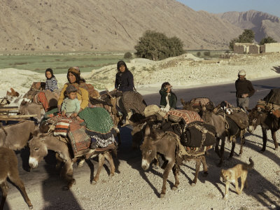 Migration of the Qashgai Tribe, Iran, Middle East
