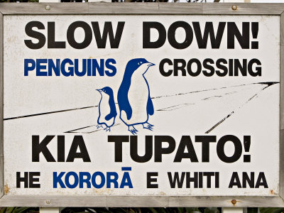 Sign Warning Drivers About Penguins in the Road, Wellington, North Island, New Zealand